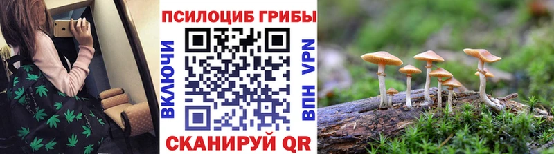 Псилоцибиновые грибы GOLDEN TEACHER  Уссурийск 